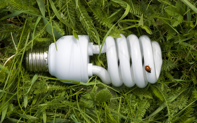 Гид по Минску: Куда можно сдать ртутные энергосберегающие лампы