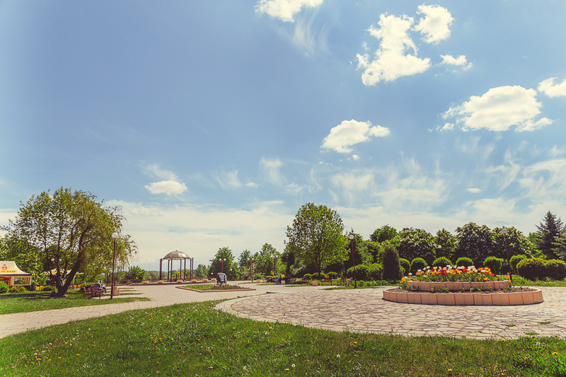 Клумба в парке Грековой в Минске