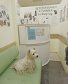 Ветеринарная клиника «Zoohelp»