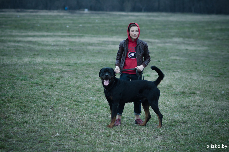 мальчик с псом