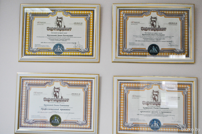 Сертификаты мастеров