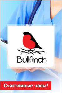 Bullfinch logo1