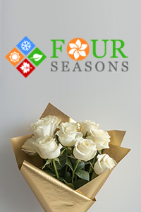 Four seasons 200 300