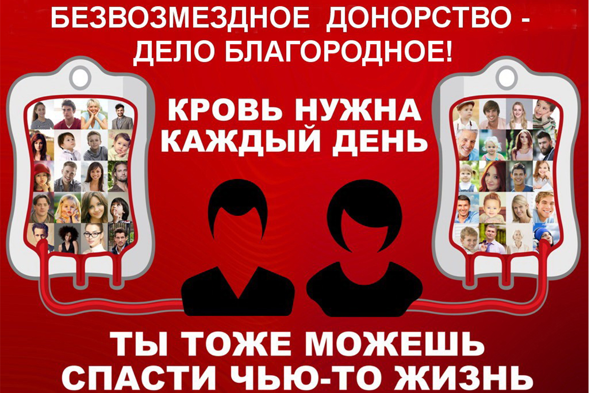 Донорство памятка. Мифы о донорстве. Донорство памятка. Донорство памятка. День донора фон.