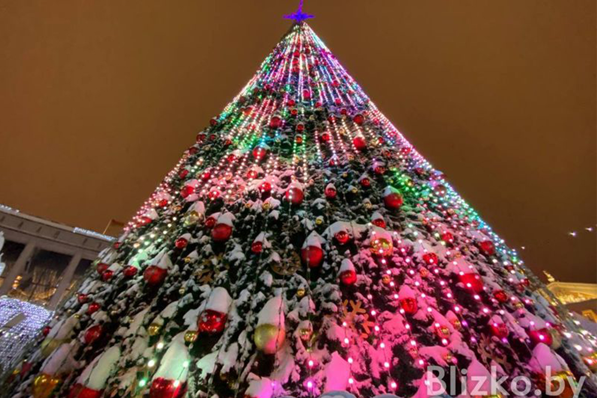Елка на Октябрьской площади – одна из самых высоких новогодних ...