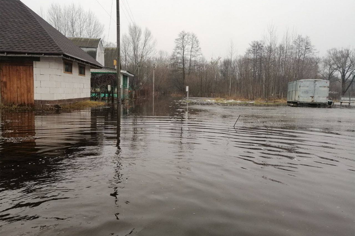 Брест и окрестности сильно подтопило грунтовыми водами: в воде оказались  свыше 120 участков