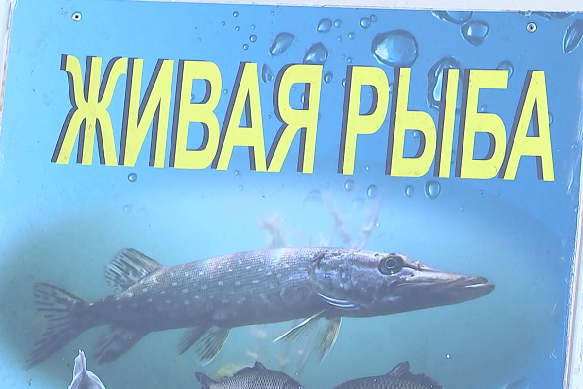 Стало известно, где и когда будут продавать свежую рыбу на открытых  площадках в Ленинском районе Минска