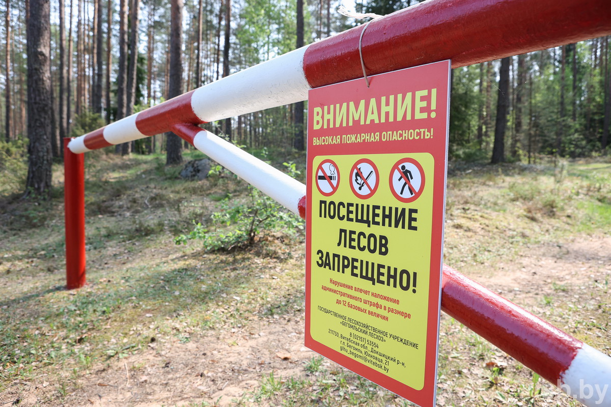 В Беларуси впервые в этом году ввели ограничение на посещение лесов. Куда  уже нельзя ходить?