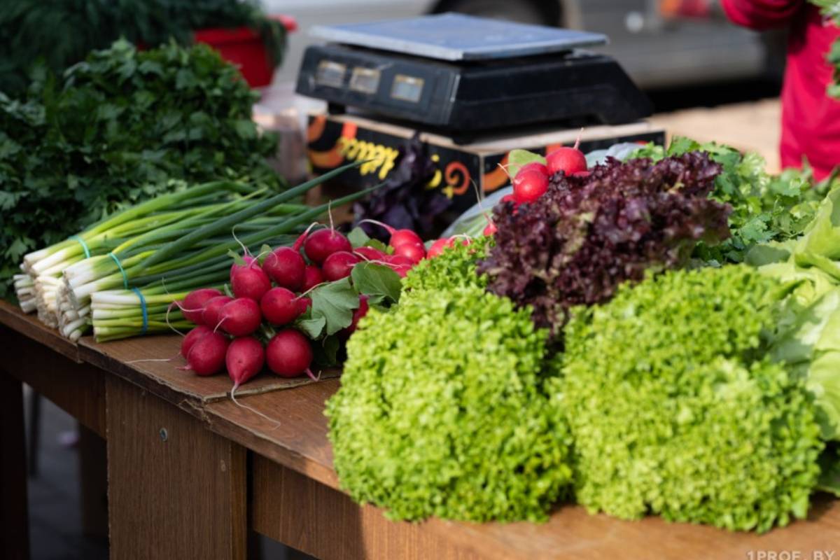 Приглашение на выставку ярмарку. Приглашение на ярмарку. Кубанская ярмарка. Вятские умельцы. Приглашение на участие в ярмарке.