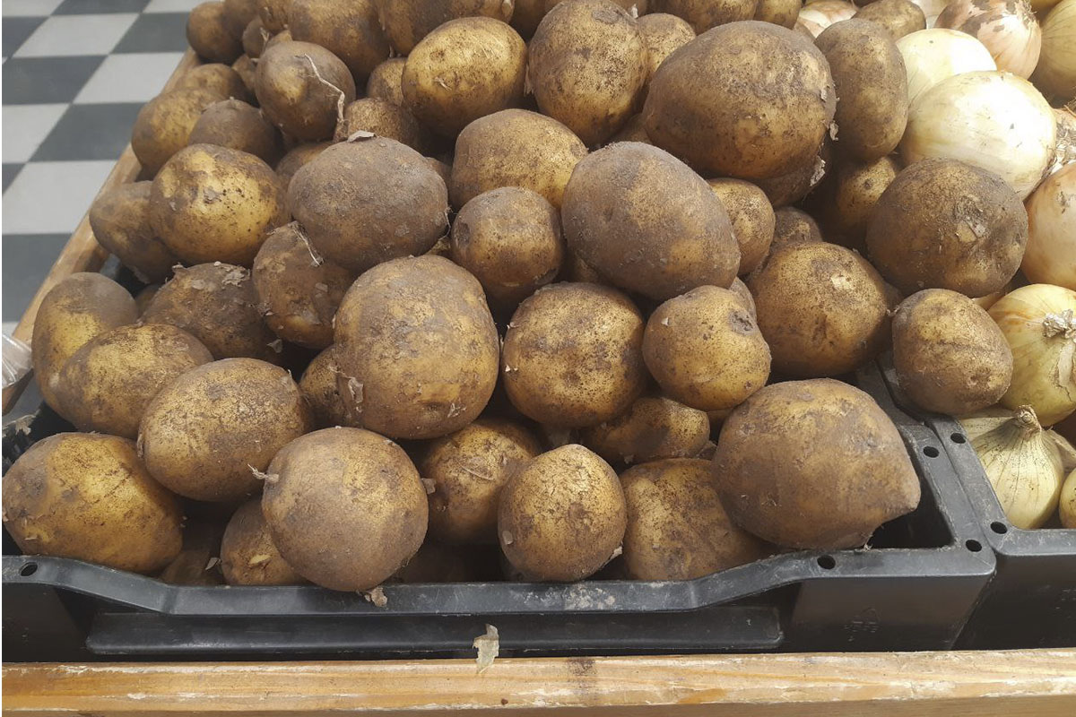 В Беларуси установили цену на картофель в межсезонье. Вот сколько будет стоит килограмм