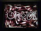 Центр поддержки семьи и детей «ORTUS» (Ортус)