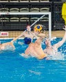 Спортивный клуб «Water Polo Team Minsk»