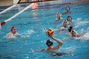 Спортивный клуб «Water Polo Team Minsk»