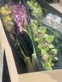 Оптовые поставки цветов «Florbiz»