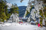 Туроператор «Ваше Лучшее Путешествие»