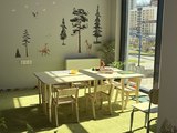 Студия развития «Лиса»