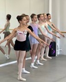 Школа классического балета «Little swan»