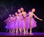 Школа классического балета «Little swan»
